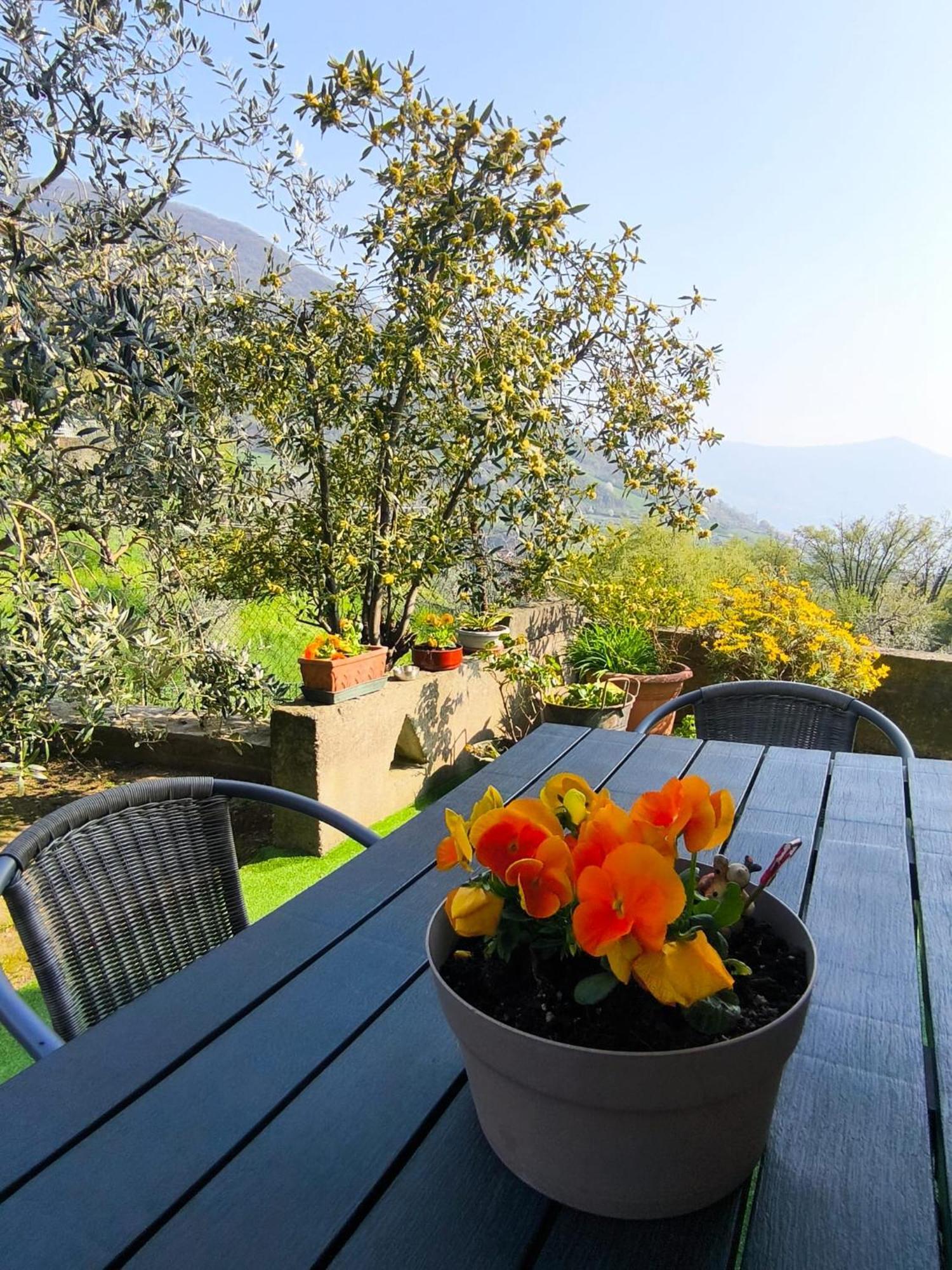 Casadolcelago Marone Villa Con Giardino Vista Lago Private Parking Luaran gambar